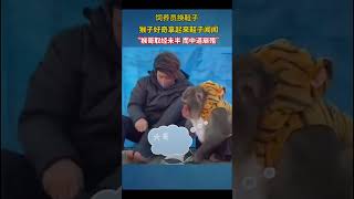 “猴哥取经未半 而中道崩殂”#shorts