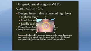 Microbiology 509 a Dengue Virus Fever Ades Mosquito Hemorrhagic Shock Platelet Severe ADE Classify