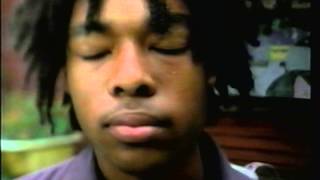 Questions the Anti Drug Commercial 2002
