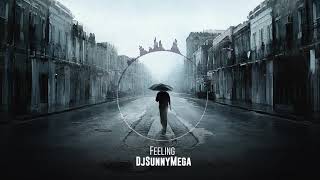 DjSunnyMega - Feeling