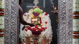 shree vadanabail padmavathi devi mahamangalarathi date 15-12-2024