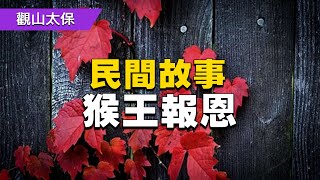 民間故事：猴王報恩 / 古代奇案懸案 / 民間故事