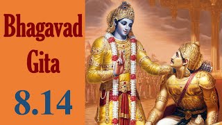 Bhagavad Gita 8.14 | Gita Chapter 8 Shloka 14 | Gita Shloka 324