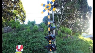 【踏切】JR内房線　警報灯と音が変な踏切 (Railroad crossing in Japan)