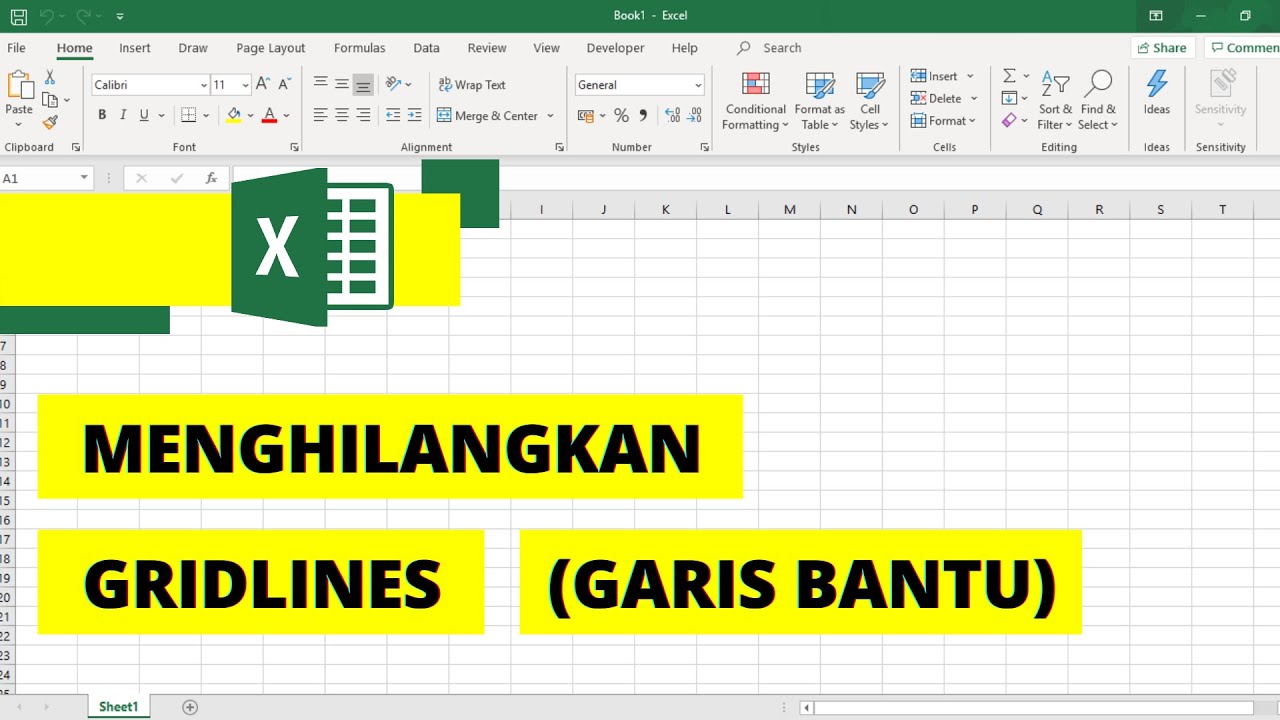 Cara Menghilangkan Garis Bantu Di Excel – Ilmu