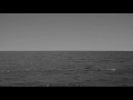 HHNOI - IN DRY WATERS