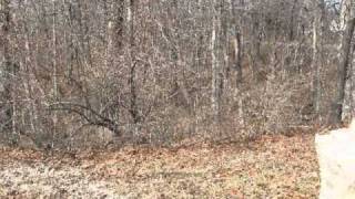 4.75 Acres, Henrys Trace, Pacific, MO  63069