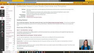 Collective Impact Case Study Overview