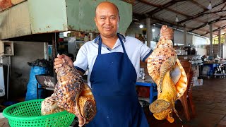 Vietnam yemeği - Dev Uzaylı Deniz Kabuğu saşimi Mui Ne deniz ürünleri Vietnam