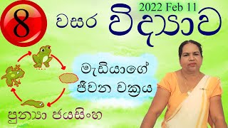 8 වන ශ්‍රේණිය විද්‍යාව - මැඩියාගේ ජීවන චක්‍රය