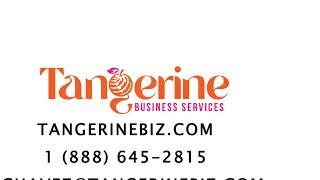 Tax-Savvy Business: Writing Off Meals, Entertainment, and Travel! by TangerineBiz.com