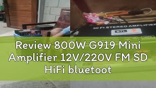 Review 800W G919 Mini Amplifier 12V/220V FM SD HiFi bluetooth 5.0 Stereo Audio Player Power Amp Car