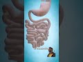 A doctor #Gastric bypass surgery # #howtoavoidbypasssurgery #anatomy #biology