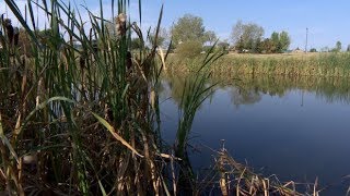 School board, city hit back at claim they were careless in Saskatoon boy's drowning death