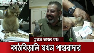 দোকান পাহারা দেয় কাঠবিড়ালি! চুরি করলে রেহাই নেই কারো | Squirrel Guard