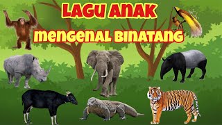 Lagu Anak Mengenal Binatang Khas Indonesia