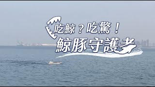 【鯨豚守護者】吃鯨?吃驚!海中精靈消失了?｜華視新聞雜誌EP2335單元1 2022.10.07