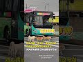 路上偶遇“汪汪队”集体过马路，司机见状纷纷主动停车礼让。狗狗很有素质，还知道要走斑马线？！ 宠物 狗狗 养狗