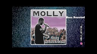 M0lly - żyję marzeniami (Audio) (Bass Boosted)