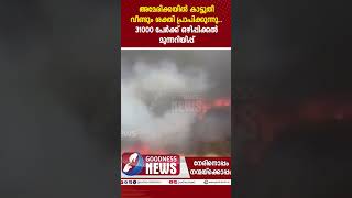 അമേരിക്കയിൽ കാട്ടുതീ വീണ്ടും ശക്തി പ്രാപിക്കുന്നു|WILD FIRE|LOS ANGELES|GOODNESS NEWS