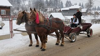 Armasari foarte frumosi a dl. Mironovici Tudor de la Moldovita - Bucovina