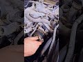 how to change lexus 430 timing belt timingbelt viral lexus timing