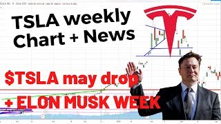 TSLA Weekly Analysis | Tesla Stock | Elon Musk Week