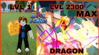 Noob To Pro | Noob Uses Dragon Fruit ( Devil Fruits ) I Reached Level Max In Blox Fruits