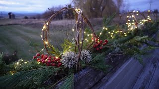 Bringing Holiday Cheer to the Garden with Winter Planters