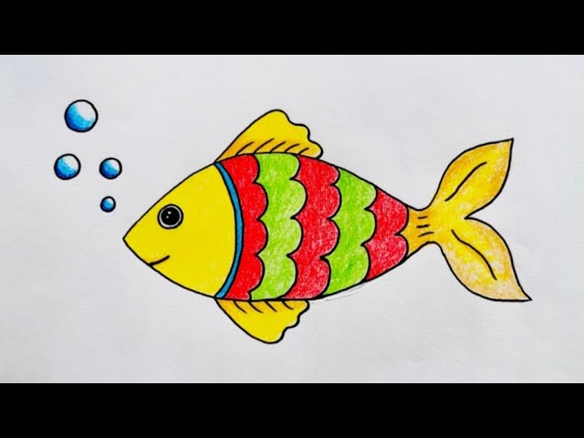Fish Images Drawing Colour Infoupdate Org