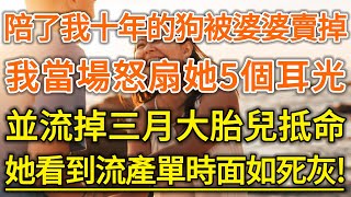 陪了我十年的狗被婆婆賣掉！我當場怒扇她5個耳光！並流掉三月大胎兒抵命！她看到流產單時面如死灰！#生活經驗 #情感故事 #深夜淺讀 #幸福人生