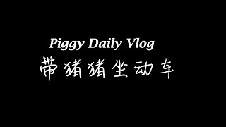 回上海（Piggy daily vlog 05）[2019.10.8]