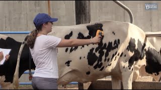 Major in animal biosciences at the University of Delaware