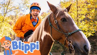Blippi Learns to Ride a Horse! Educational Animal Videos for Kids