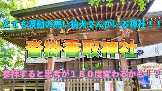 エネルギー⚡️が強い狛犬がいる‼️沓掛香取神社⛩️思考が１８０度変わる出来事が起こるかも⁉️