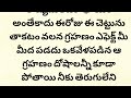 రేపే 18పౌర్ణమి గ్రహణం 69 సం.లకి వస్తుంది గనుక ఈ చెట్టును తాకండి మీ దశ మారిపోతుంది...