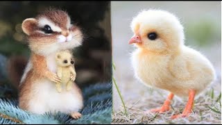Cute Baby Animals Videos Compilation | Funny and Cute Moment of the Animals #26- Cutest Animals