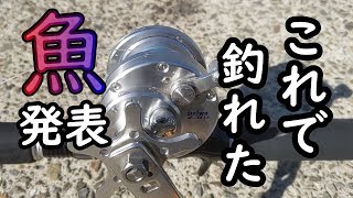 １０万のタックルで挑んだ穴釣りの結果は【興奮】