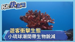 遊客衝擊生態　小琉球潮間帶生物銳減－民視新聞