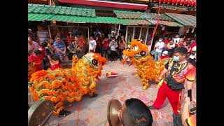 CNY 2020 (Chap Goh Meh) 闹元宵 #2 ~ Kok Yee Lion Dance 国义 @ Oloiya, Petaling Street  (4K Video)