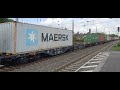 rheincargo 248 004 durchfahrt gelsenkirchen hbf richtung oberhausen mit containerzug 1 8 2022