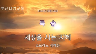 세상을 사는 지혜  소프라노 김혜은  부산 대양교회