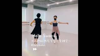 成人銀天鵝芭蕾課程（Silver Swans in Yilan)