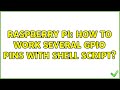 Raspberry Pi: How to work several GPIO pins with shell script?