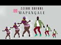 Zero Ssufuri - Mapangale ( lyrics video)