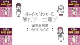 #3 根拠が分かる解剖学・生理学 循環器疾患【労作性狭心症】