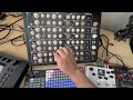 Chill Jam with Vermona Perfourmer MKII live recording