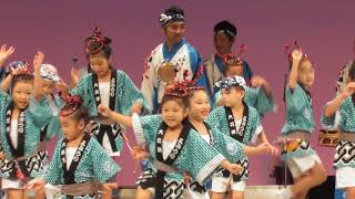 よみうり大花連・本祭一日目☆南越谷阿波踊り2017 in 越谷コミセン