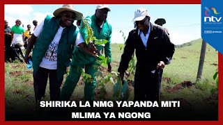 Shirika la NMG yapanda miti mlima ya Ngong