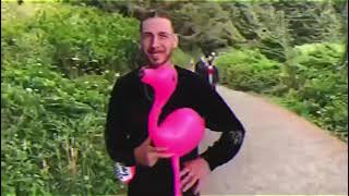 The Flamingo Tour Vlog w @horusthesolar , @AkaKNDRX & @DylanTimesFive